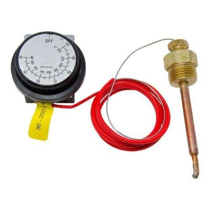 General Pump 100538 Probe Thermostat - 86-250 Degrees