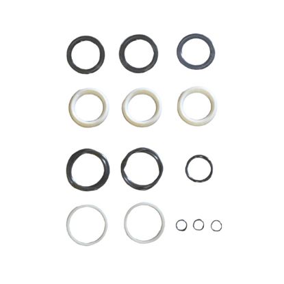 CAT Pumps 31040 Seal Kit for 3535, 3531, 3537, 3831